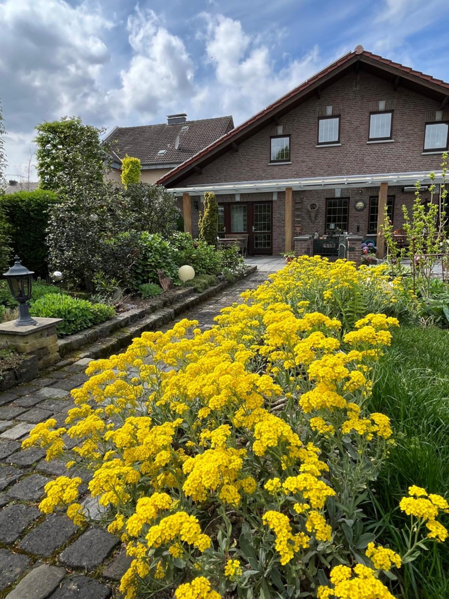 Ferienwohnung Jansen Selfkant Exterior photo