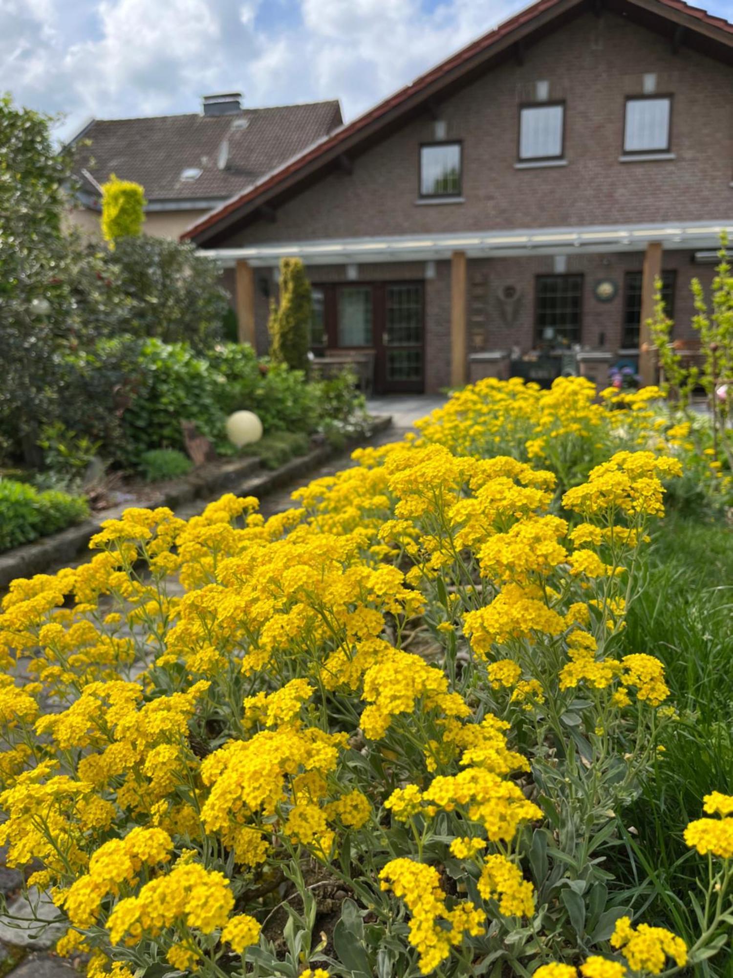 Ferienwohnung Jansen Selfkant Exterior photo